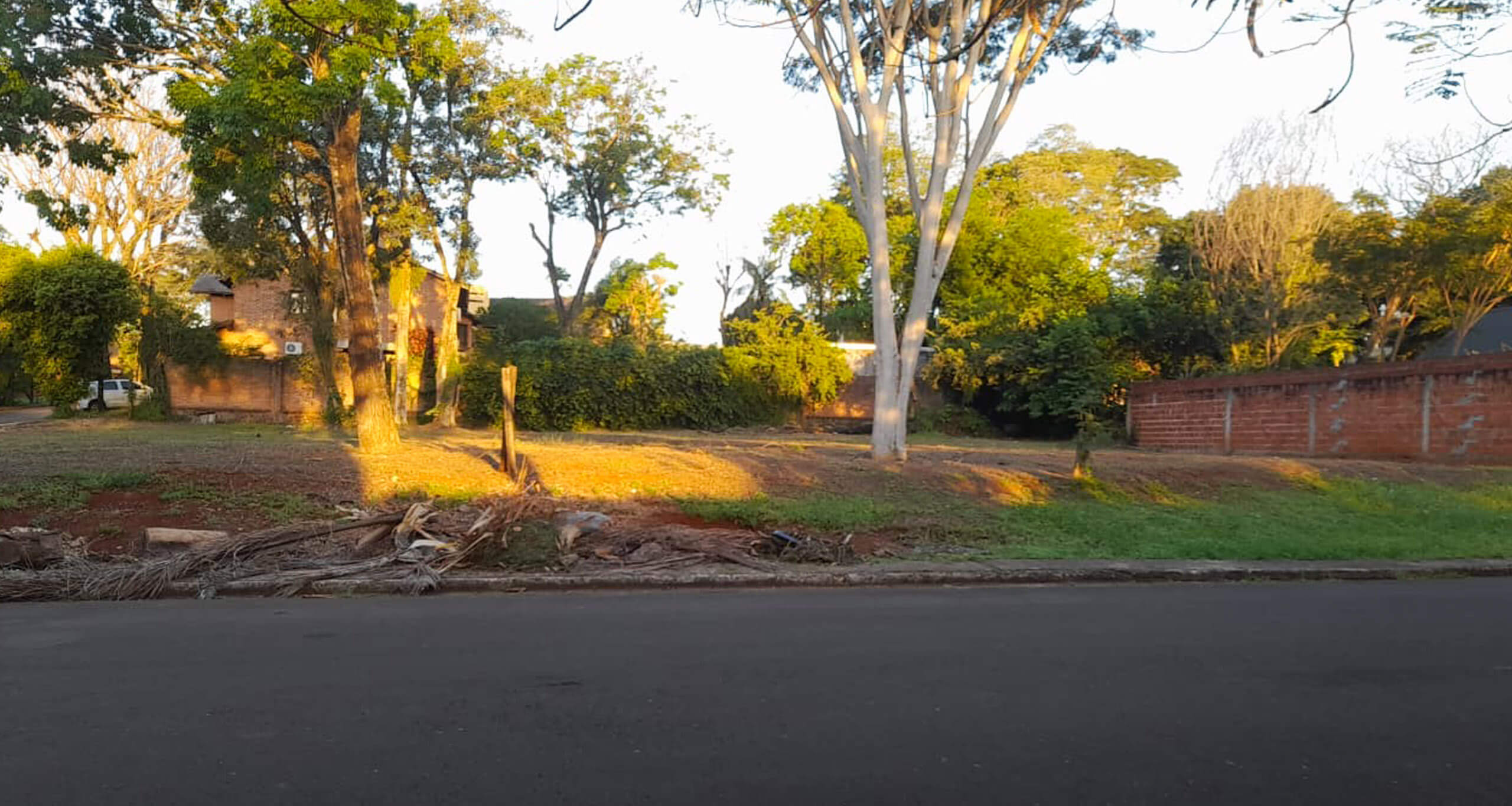 Terreno W04