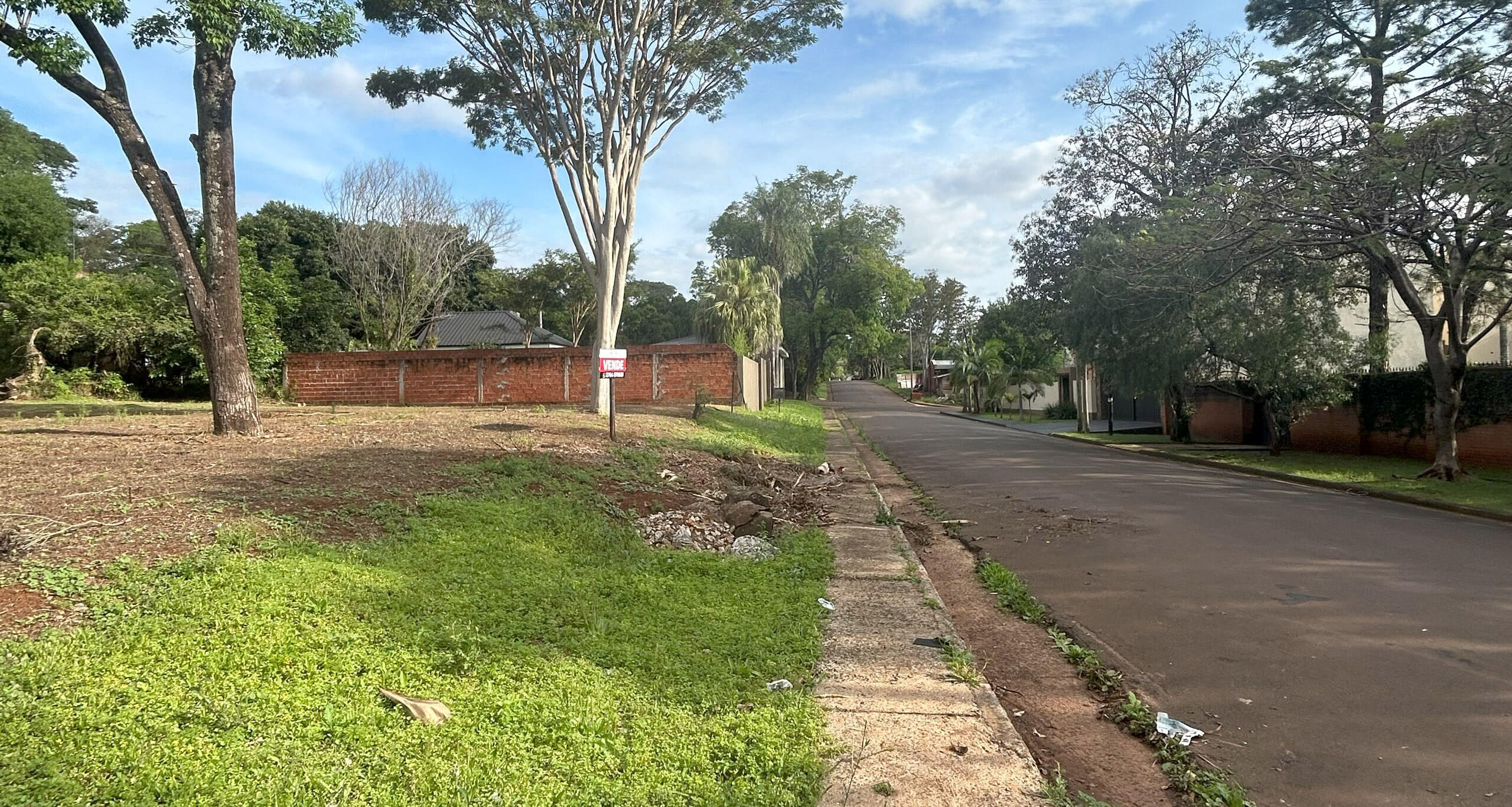 Terreno W08